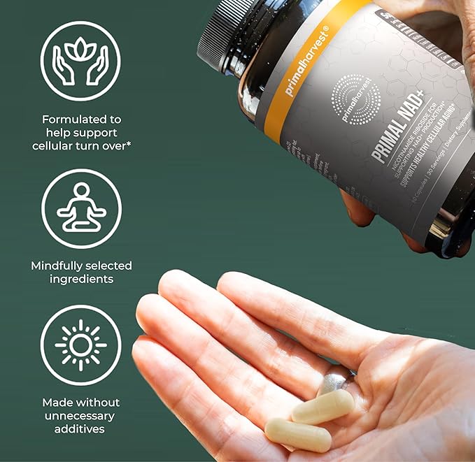 Primal Harvest NAD+ Supplement: Nicotinamide Riboside Trans-Resveratrol Betaine CoQ10 NAD Supplements for Cellular Health Energy and Mitochondrial Support (60 Count (1 Pack)
