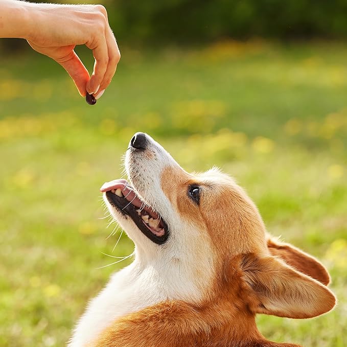1TDC WorksSoWell Dual Action Hip and Joint Supplement for Dogs &amp Cats - for Large &amp Small Breed - Great for Oral Health Stamina Recovery &amp Arthritis Pain Relief -30 ct