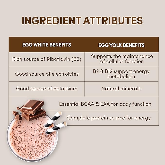 Designer Wellness Designer Egg Natural Egg Yolk &amp White Protein Powder Keto and Paleo Friendly Low Calorie Less Fat and Cholesterol Dutch Chocolate 12.4 Ounce