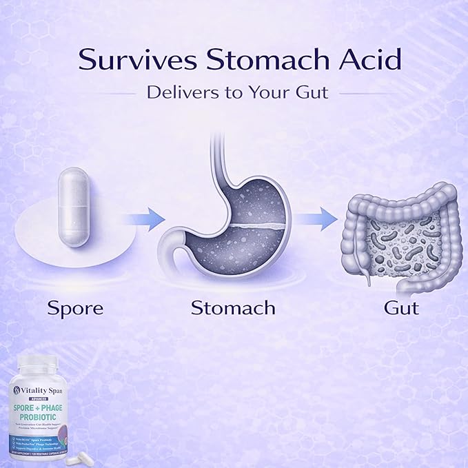 Spore Probiotic Capsules for Women &amp Men Bacillus Subtilis + Advanced Phage – Gut Health &amp Digestive Comfort Shelf-Stable Survives Stomach Acid – 120 Delayed Release Capsules