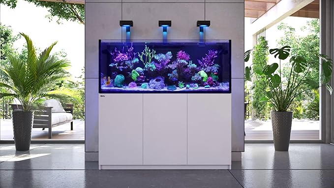 Red Sea Reef Foundation A (Ca/Sr) Supplement 1000ml - Calcium &amp Strontium Additive for Healthy Coral Growth in Marine &amp Reef Aquariums