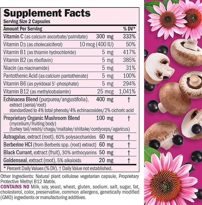 ANDREW LESSMAN Immune Factors 60 Capsules - Echinacea Goldenseal Vitamin C Astragalus Berberine Mushroom Blend Black Currant. Supports and Promotes Immune System and Natural Defenses
