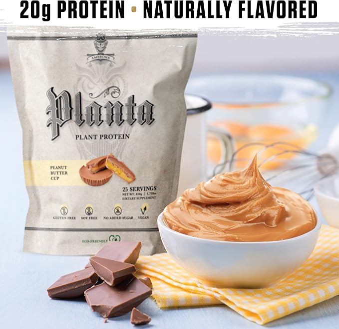 Ambrosia Planta - Plant-Based Protein Powder 20g | Dairy Free Vegan Protein Powder with BCAA Amino Acids | Keto-Friendly No Added Sugar | 25 Servings | Peanut Butter Cup
