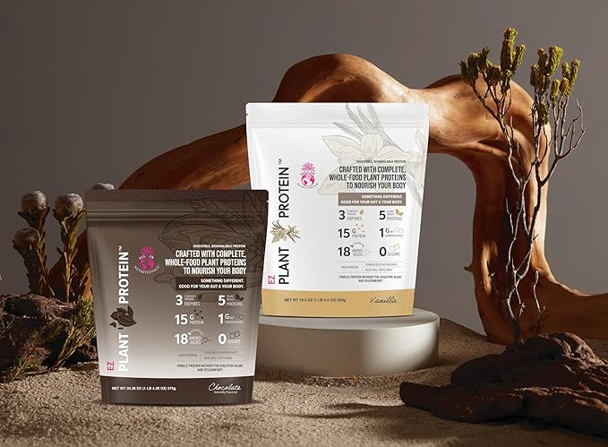 All In Nutritionals EZ Plant Protein. Plant Protein Powder with Fermented Rice Pumpkin Seed &amp Pea Sacha Inchi Digestive Enzymes Gluten-Free Non-GMO 15g Protein Vanilla Flavor 25 Servings