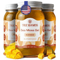 TrueSeaMoss Sea Moss Gel – Made in USA – Wildcrafted Seamoss Fruits &amp Jarred Vegetables – Mango Pack of 3 (Labels may Vary)