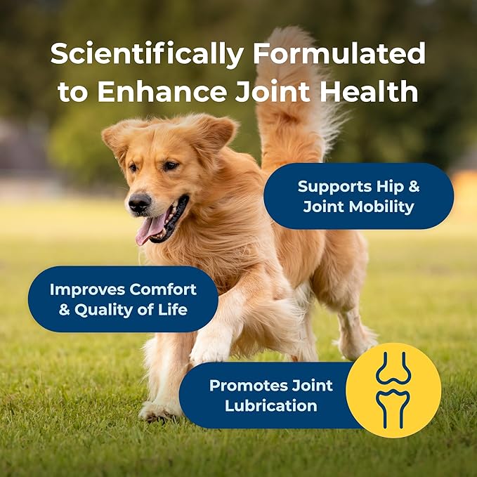 PetAg Dyne Soft Chews Joint Health &amp Mobility Supplement - Vet-Formulated for Dogs - with UC-II® Collagen - Up to 4X More Effective Than Glucosamine/Chondroitin - 45 Chicken Liver Flavor Chews