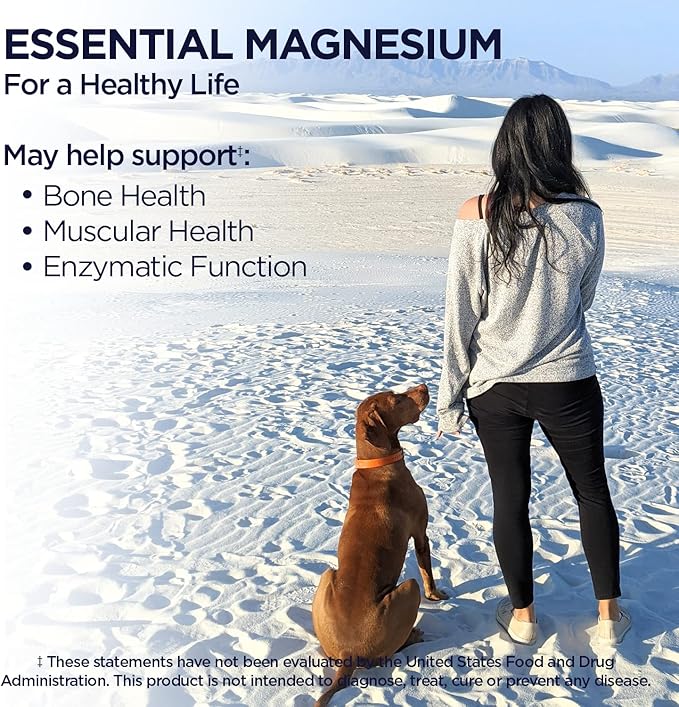 KAL Magnesium Glycinate Tablets Fully Chelated High Absorption Formula with Magnesium Bisglycinate Chelate for Nerve Muscle &amp Bone Health Support Vegan Gluten Free Value Size 240 Tablets