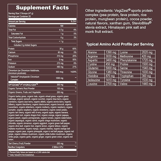 UpNourish Vegan Sport Protein Chocolate and Micronized Creatine