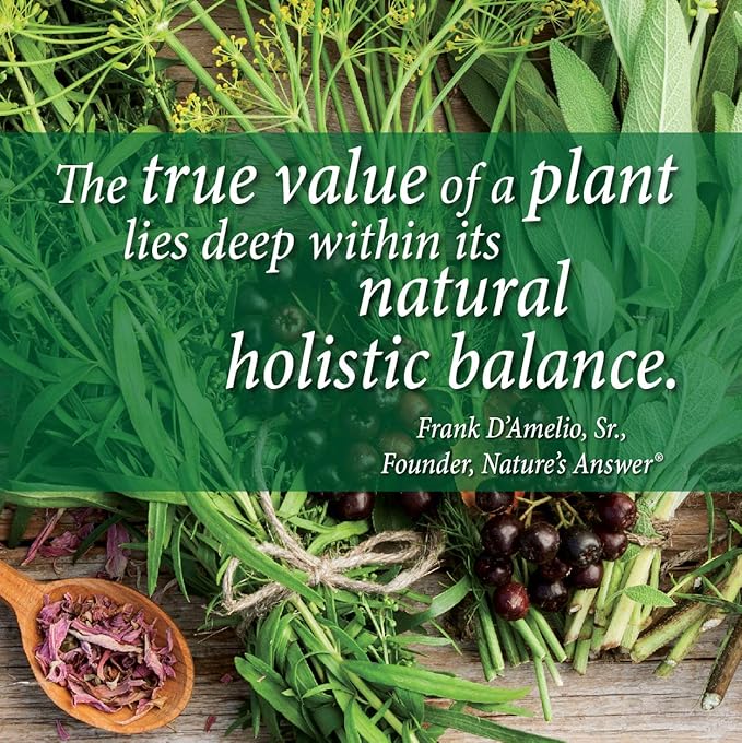 Genceutic Natural's Plant Head Real Meal Dietary Supplement | Supports a Healthy Lifestyle | Vegan Gluten-Free &amp Lactose-Free | Vanilla 1.7bs