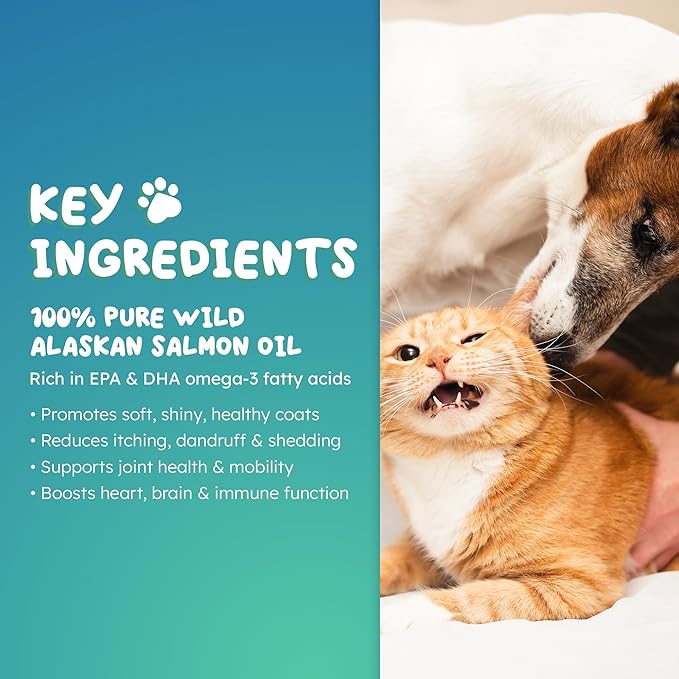 Wild Salmon Oil for Dogs – Pure Omega-3 Liquid Topper with EPA &amp DHA to Support Healthy Skin Shiny Coat Joint Comfort Heart Function &amp Overall Daily Vitality (250ml)