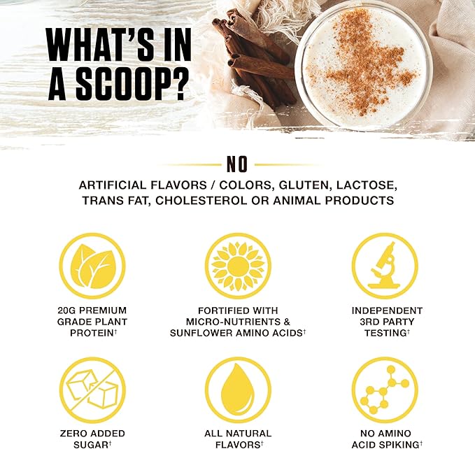 Ambrosia Planta - Premium Plant-Based Protein | Vegan &amp Keto Friendly | Gourmet Flavors with No Bloating or Stomach Upset | Gluten &amp Soy Free | No Added Sugar | 14 Servings | (Cinnamon Roll)