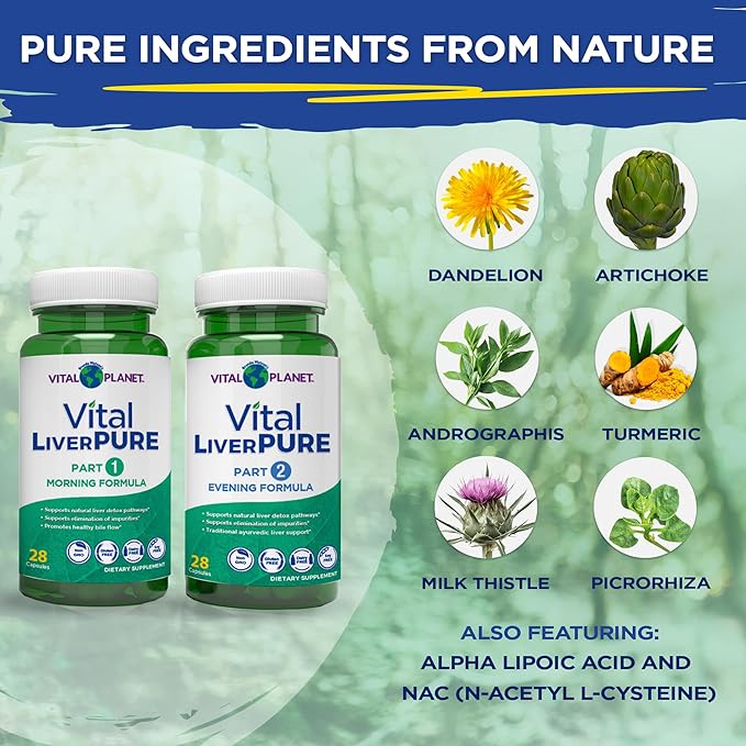 Vital Planet – Vital Liver Pure Liver Cleanse Detox &amp Repair with Milk Thistle NAC Supplement N-Acetyl Cysteine Andrographis Dandelion Turmeric Alpha Lipoic Acid 2-Part 14-Day Kit 56 Capsul