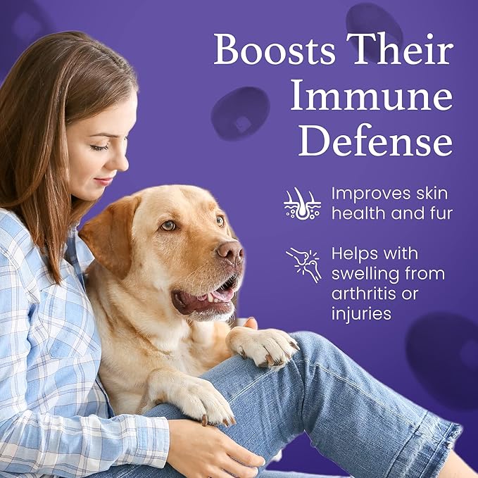 Dog Lover Set - A Bottle for Each of You Pure ESS60 in Extra Virgin Olive Oil for Humans and Canines Dog Supplements Must-Have Pet Supplies and Dog Products
