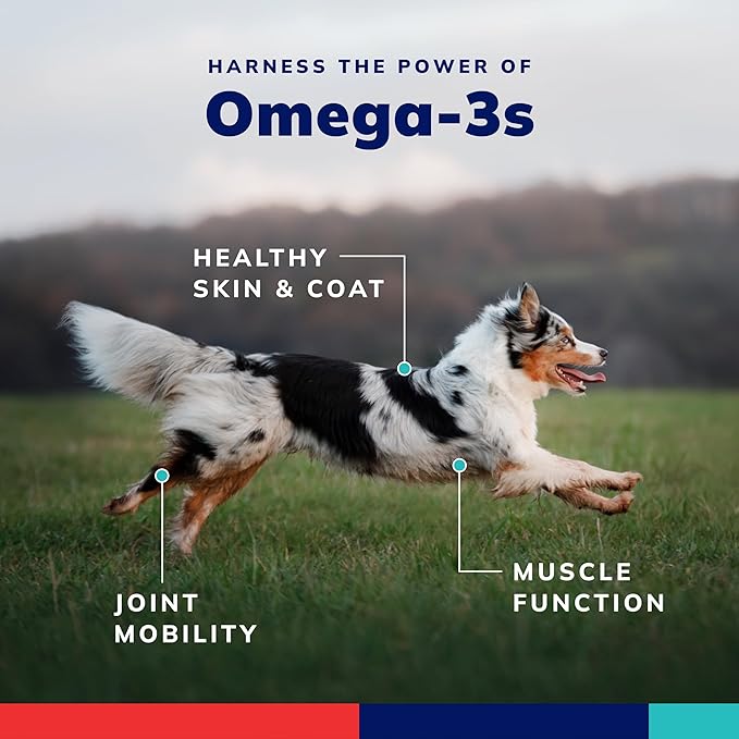 Covetrus Omega-3 Soft Gels for Medium Dogs – Essential Fatty Acids with Vitamins A E &amp D3 – Skin Coat &amp Joint Supplement – 60 Count