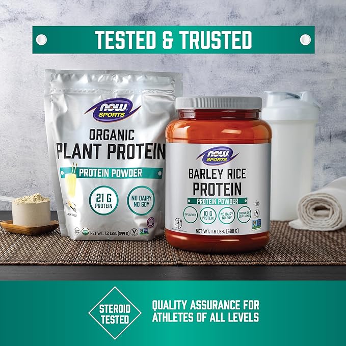 NOW Foods Sports Nutrition Organic Pumpkin Seed Protein Powder With 10g of Protein Certified Non-GMO Unflavored 1-Pound
