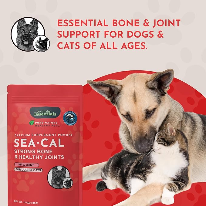 Animal Essentials Sea-Cal - Pure Seaweed Calcium Powder for Dogs with Magnesium Joint Supplement for Dogs &amp Cats for Healthy Bones &amp Teeth Joint Health Vegan Icelandic Seaweed Calcium - 12