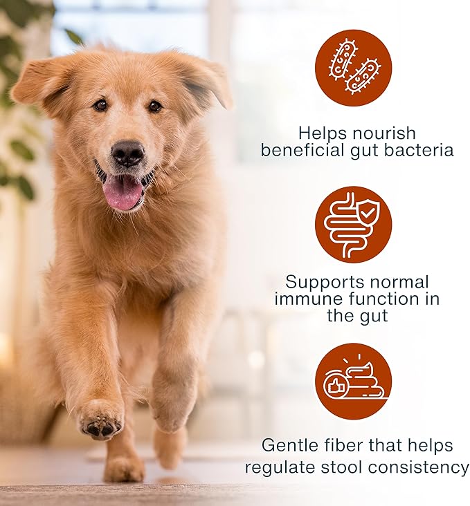 JustFoodForDogs JustFresh Boost Sensitive Stomach Dog Food Topper with Fiber for Gut Support &amp Digestive Health Human-Grade Fresh Pet Meal Booster 8 oz Pouches - 8 Pack