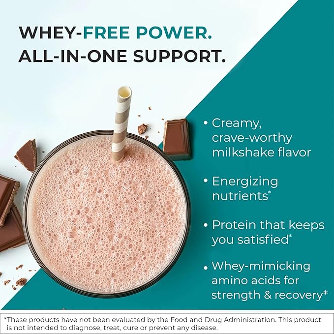 Reignite Wellness by JJ Virgin | Chocolate Paleo-Inspired All-in-One Shake | Gluten Free + Dairy Free Protein Powder | Contains 20G of Beef Protein with Vitamins Minerals Amino Acids | 30 Servings