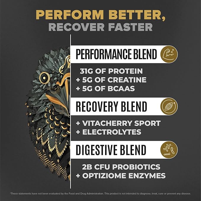 BIRDMAN Falcon Performance Vegan Protein Powder 31g Protein 5g Creatine 5g BCAA Probiotics Electrolytes Pre Workout Low Carb Sugar Free &amp Dairy Free Plant Based Vanilla Protein -19 Servin