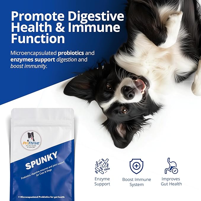 Spunky Digestive Supplement - Probiotics Digestive Enzymes Joint Support for Cats and Dogs | Gut Health | Pet Probiotics for Dogs and Cats - 5lb