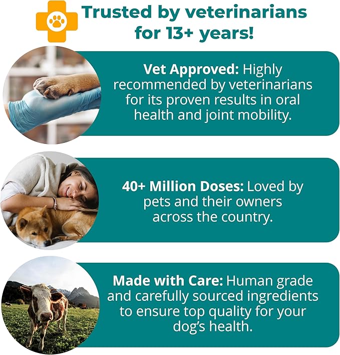 1TDC WorksSoWell Dual Action Joint Supplement For Dogs &amp Cats - Hip And Joint Supplement For Large Breed &amp Small Breed - Also Great For Oral Health - Muscle &amp Stamina Recovery &amp Arthri