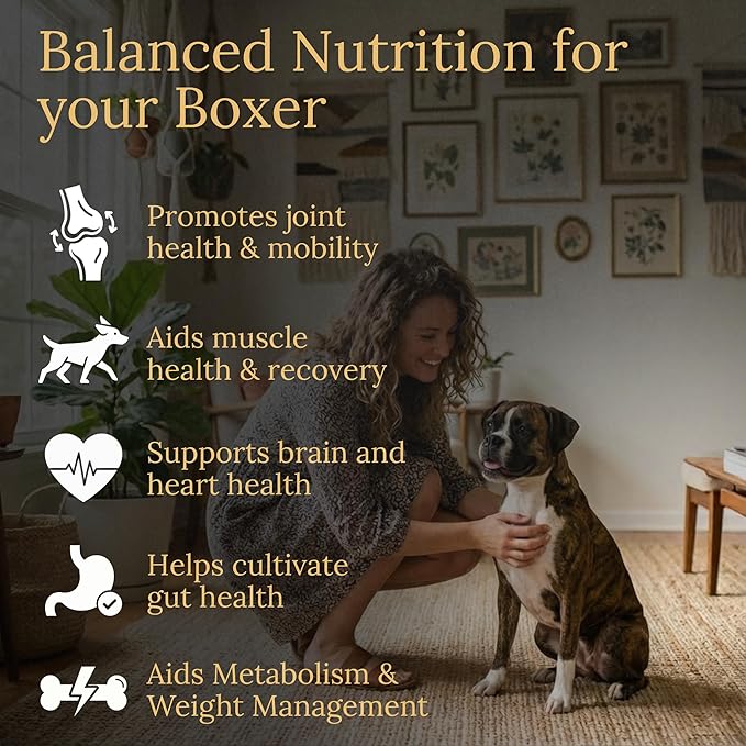 Multivitamins Balanced Nutrition for Your Boxer 90 Count Made in The USA with Real Bacon