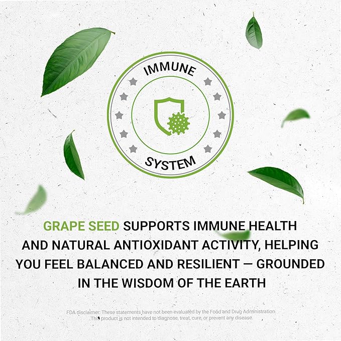 Secrets of the Tribe Grape Seed Tincture Alcohol-Free Liquid Extract Grape (Vitis Vinifera) Dried Seed (4 FL OZ)