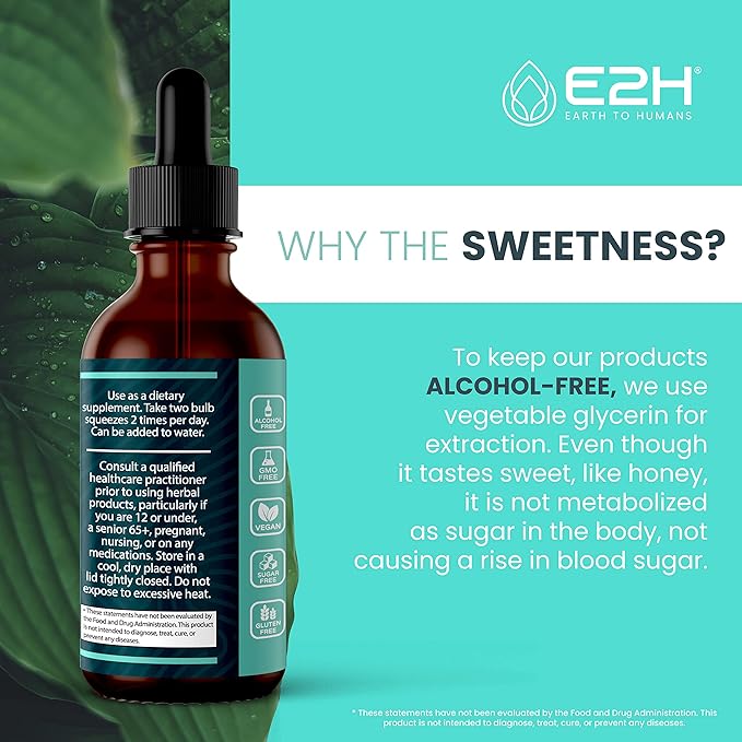 E2H Advanced Intestinal Support - Promotes Gut Health and Digestive System - Wormwood and Black Walnut Extract - Non-GMO Vegan - (2 Bottles)