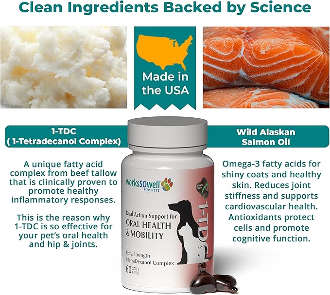 1TDC WorksSoWell Dual Action Hip and Joint Supplement for Dogs &amp Cats - for Large &amp Small Breed - Great for Oral Health Stamina Recovery &amp Arthritis Pain Relief -60 ct
