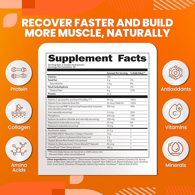 SaltWrap Protein Clinic - Total Body Recovery Shake with Collagen Peptides HMB Tart Cherry Extract Pea Protein Powder Isolate Prebiotic Fiber for Joints Natural Muscle Builder &amp Recovery - Van