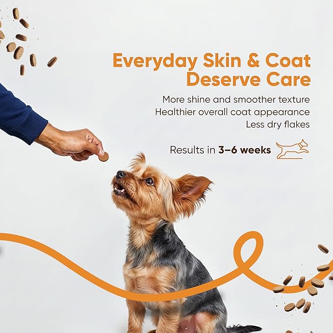 SNIFF N CHOMP Omega 3 for Dogs Chews Skin and Coat Supplement for Dogs Omega 6 Fish Oil Formula Itchy Dry Skin Relief Healthy Coat Shine Support All Breeds | 90 Soft Chews
