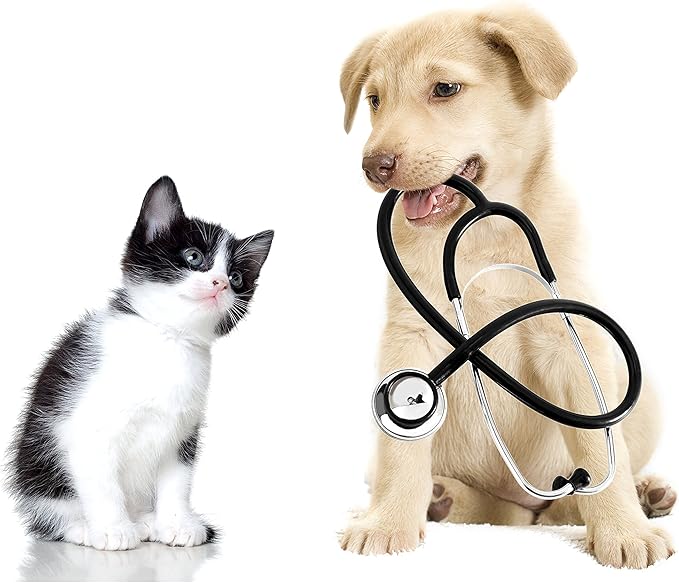 Dog Heart Support - Omega 3 - for Dogs and Cats - Health and Wellness - Omega 3 Fatty acids for Dogs Liquid - 3 Bottle (540 Softgels)