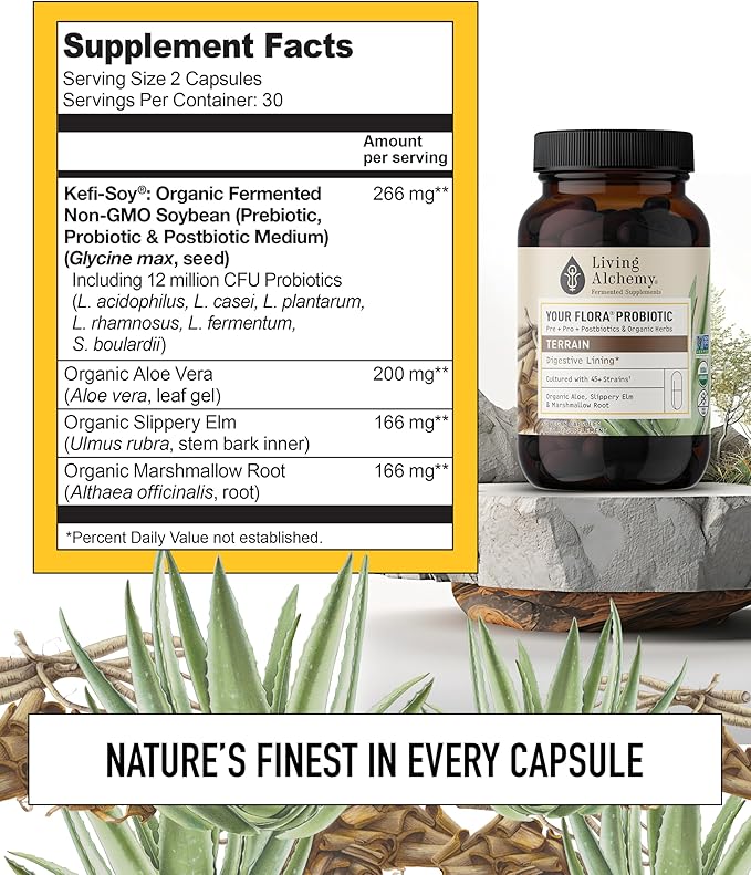 Your Flora Probiotic Terrain – Non-GMO Probiotics with Fermented Soybean Aloe Vera &amp Slippery Elm for Gut Balance &amp Digestion – Prebiotics Postbiotics Digestive Enzymes – Living Alchemy 6