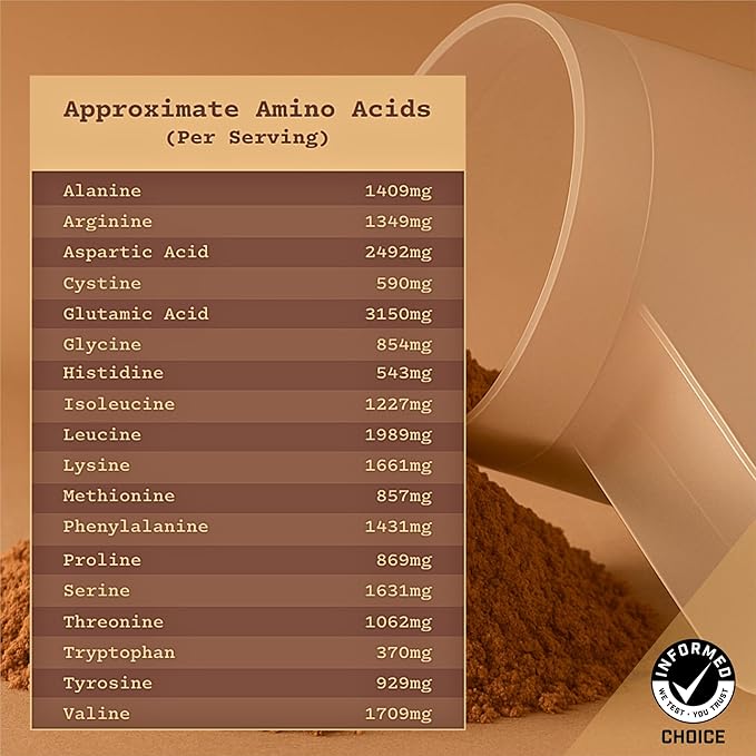 Anea Egg White Protein - Chocolate | 24g Protein | Fat-Free Cholesterol-Free | 4.9g BCAA | Complete Amino Acid Profile| Dairy-Free Gluten-Free Soy-Free | Chocolate Flavor | Made in GMP Facility