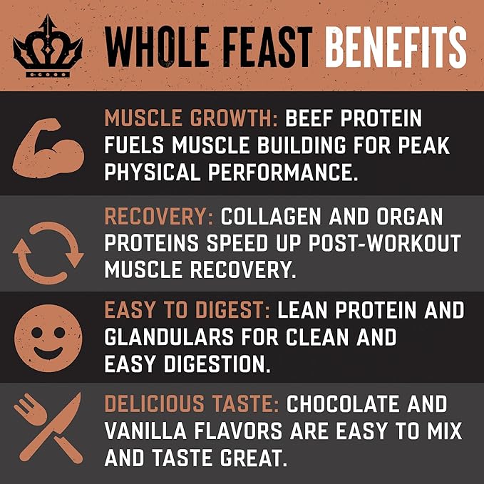 The Fittest Whole Feast Beef Protein Powder - Milk Chocolate - Grass Fed Nose to Tail Carnivore Blend Including Liver Colostrum and Whole Bone - BCAAs - 14g Collagen 21g Total Protein