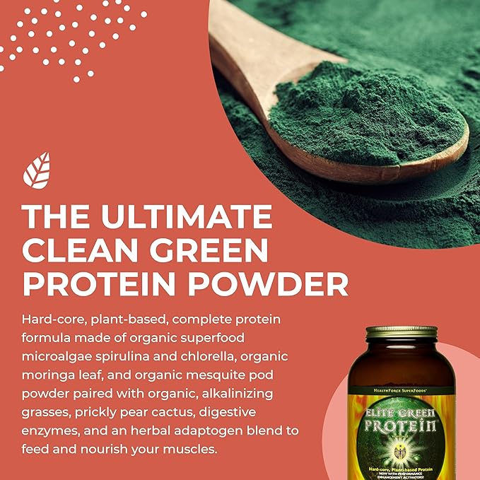 HealthForce SuperFoods Elite Green Protein Elite Mesquite 500 Grams Powder
