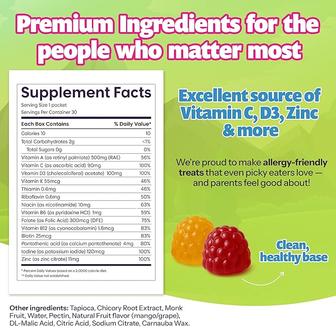 Kids Daily Multivitamin - Healthy Snacks For Kids – No Sugar No Dyes Monk Fruit Sweetened Vegan Gluten-Free- 100% Daily Value of Vitamins C D3 Zinc – 30 Travel Lunch Packs of Sugar Free Gummies