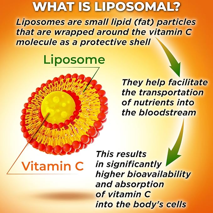 Antioxidant &amp Immune Support Bundle with Organic Whole Foods – Vegan Whole Food Multivitamin with Iron + Liposomal Vitamin C 1500mg &amp Liposomal Glutathione 500mg – Vegan Clean Daily Wellness
