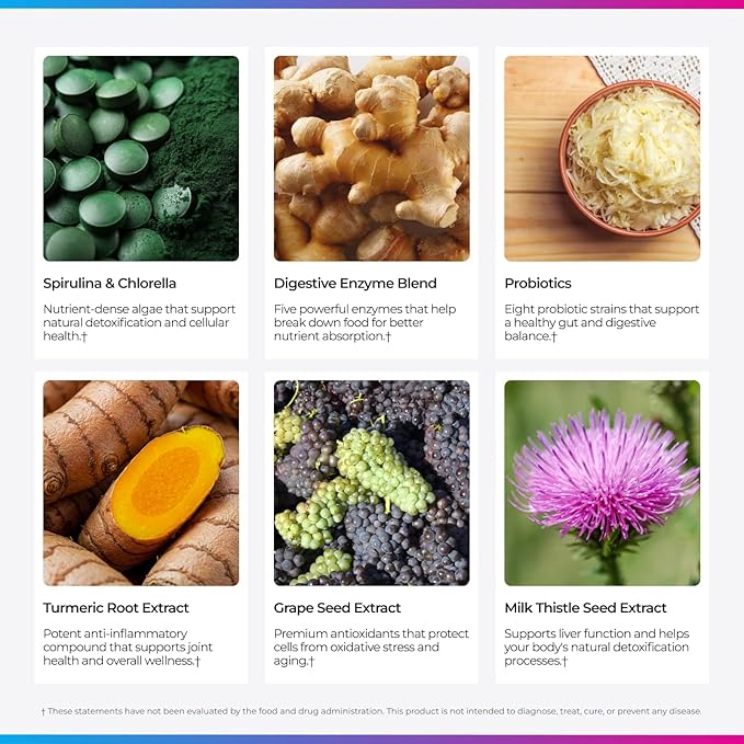 Livingood Daily Greens &amp Superfood Powder Super Greens for Gut Health Green Juice Powder with Spirulina Chlorella and Digestive Enzymes Probiotics for Digestive Support Berry 30 Servings