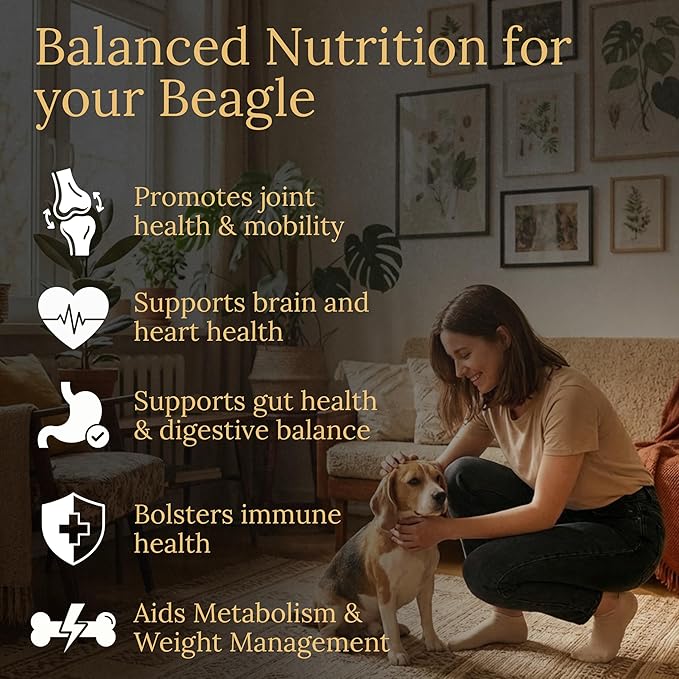 Beagle Multivitamins 90 Count Made in The USA with Real Bacon