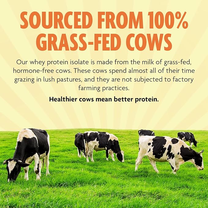 DMoose Grass Fed Whey Protein Powder - for Muscle Growth &amp Recovery Naturally Sweetened &amp Flavored Rich in Amino Acids Fast Absorbing Performance Formula (2 Lbs Chocolate)