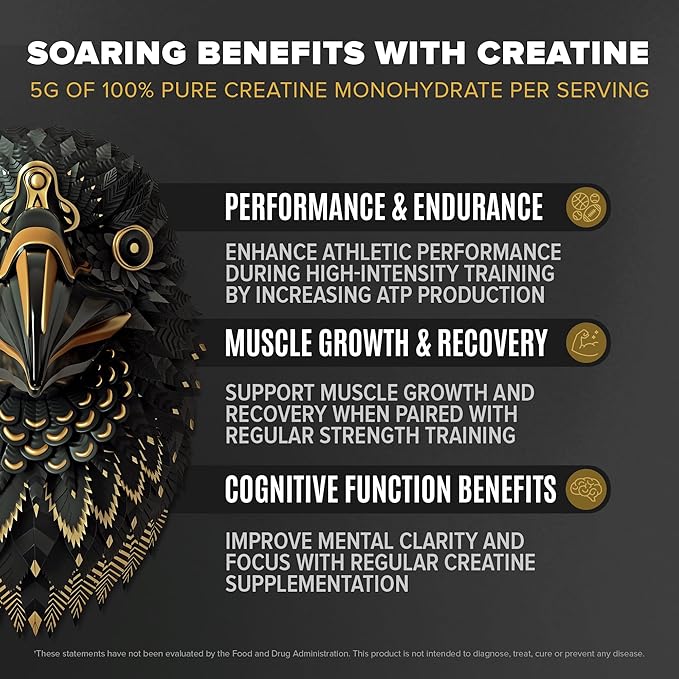 BIRDMAN Falcon Performance Vegan Protein Powder 31g Protein 5g Creatine 5g BCAA Probiotics Electrolytes Pre Workout Low Carb Sugar Free &amp Dairy Free Plant Based Vanilla Protein -19 Servin