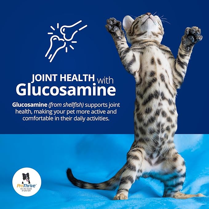 Spunky Digestive Supplement - Probiotics Digestive Enzymes Joint Support for Cats and Dogs | Gut Health | Pet Probiotics for Dogs and Cats - 5lb