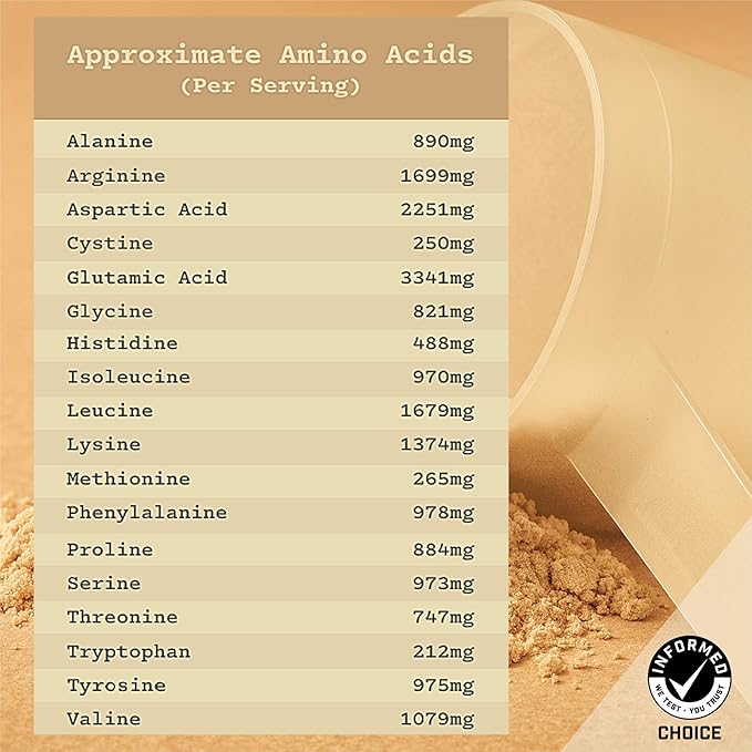 Anea Plant Protein - Vanilla | 20g Vegan Protein | Complete Amino Acids | Dairy-Free Gluten-Free Cholesterol-Free | Smooth Vanilla Flavor | Made in GMP Facility