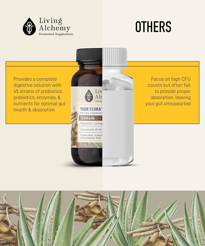 Your Flora Probiotic Terrain – Non-GMO Probiotics with Fermented Soybean Aloe Vera &amp Slippery Elm for Gut Balance &amp Digestion – Prebiotics Postbiotics Digestive Enzymes – Living Alchemy 6