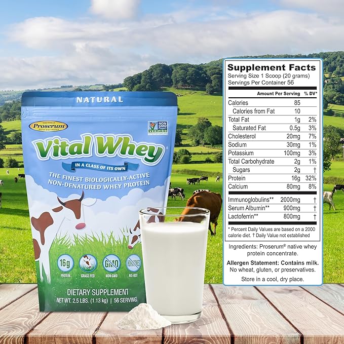 Grass-Fed Whey Protein Powder for Immune Vitality Natural Flavor 600g (30 Servings) 15g Protein Per Serve Vital Whey Clean Holistic Wellness Nutrition