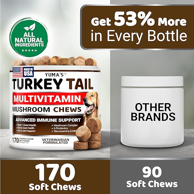 (2-Pack) Turkey Tail Mushroom for Dogs - 340 Count - Mushroom Chews for Dogs Lipoma Lumps and Bumps - Immune Health Digestive Skin Joint Vitamin Support Guard Buddy - Multivitamin Supplement