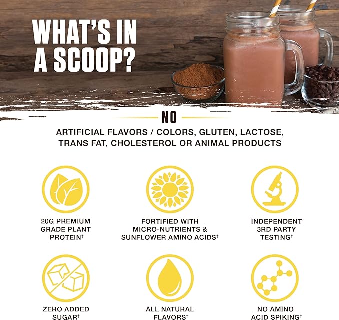 Ambrosia Planta - Premium Plant-Based Protein | Vegan &amp Keto Friendly | Gourmet Flavors with No Bloating or Stomach Upset | No Added Sugar | 14 Servings | (Melted Chocolate)