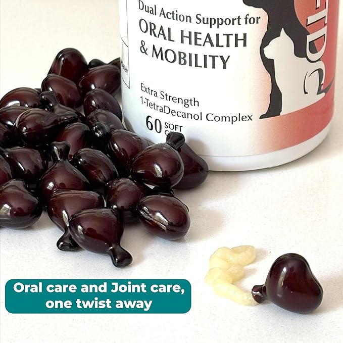 1TDC WorksSoWell Dual Action Hip and Joint Supplement for Dogs &amp Cats - for Large &amp Small Breed - Great for Oral Health Stamina Recovery &amp Arthritis Pain Relief -60 ct
