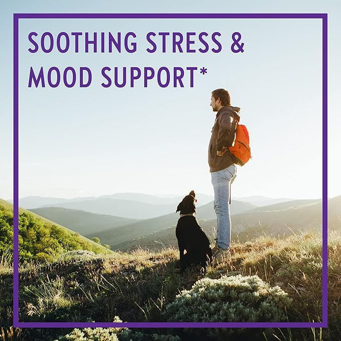 New Chapter Calming Supplement -Perfect Calm Multivitamin for Stress + Mood Support with B Vitamins + Holy + Lemon Balm + Organic Non-GMO Ingredients Basil 72 Count (Pack of 1)